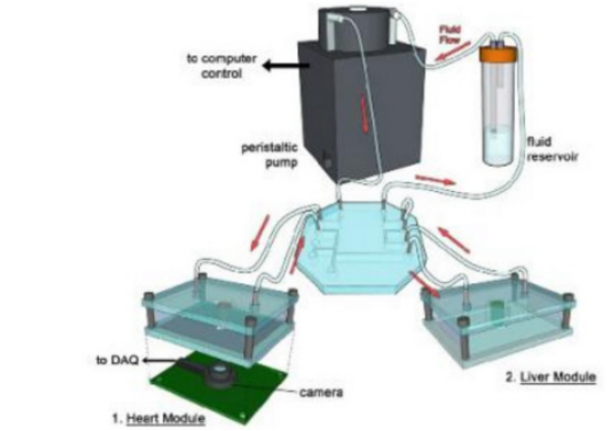 Application of 3D Printing Technology in the Field of Drug Testing